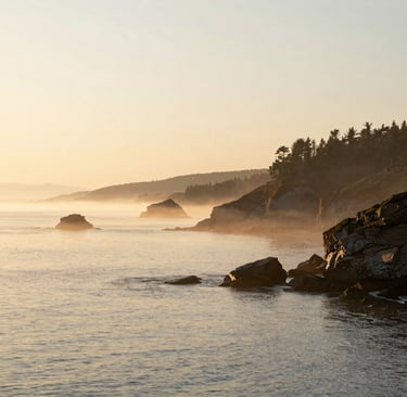 A high-end, wide-angle photography shot of a North American coastal landscape at sunrise. Soft, brushed gold sunlight illuminates the misty shoreline and rocky cliffs. The composition is clean and minimalist, evoking a sense of calm and timeless elegance.