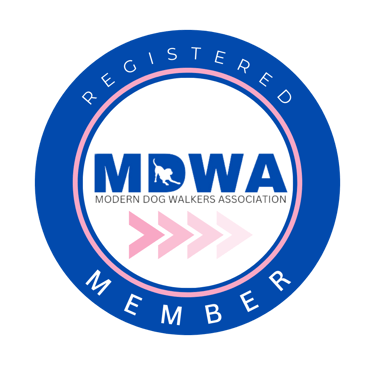 Modern Dog Walkers Association MDWA certified member badge for Doggy Dude.