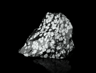 Obsidienne Flocon de Neige