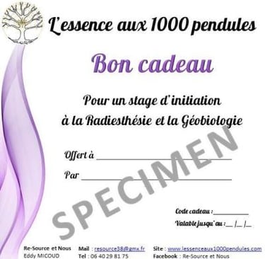 Bon et chéque cadeau 