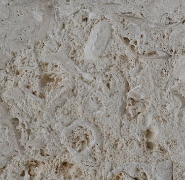 CAC Coral Brushed Shellstone