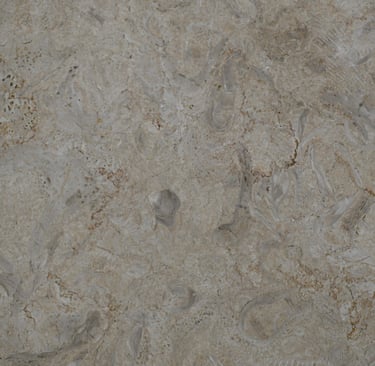 Ostracon Natural Shellstone