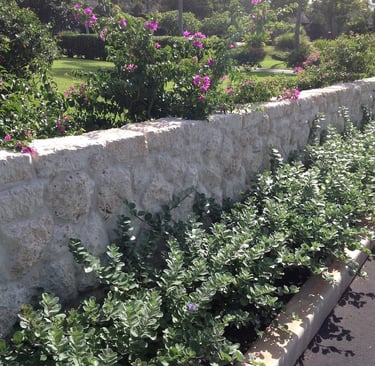 pale stone garden wall