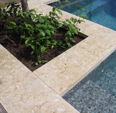 Shell stone pool