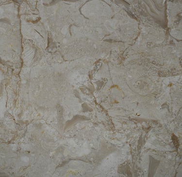Shells Reef Beige Brushed shell stone