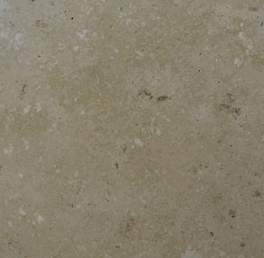 TA Coral Semi Polished Shell stone