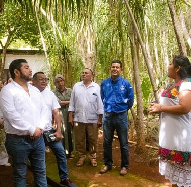 Un grupo de personas escucha a un guía en un jardín botanico con palmeras y plantas nativas