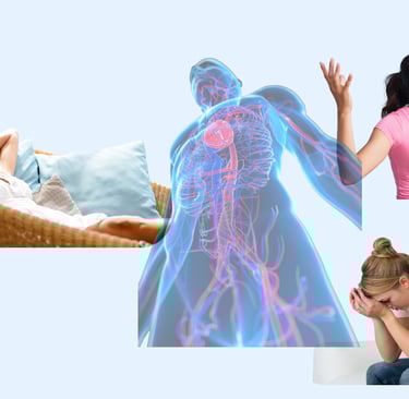 Les états du moi dans le système polyvagal