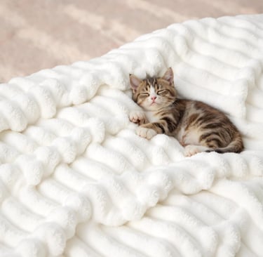 A cute tabby kitten sleeping peacefully on a soft, white textured fleece blanket.