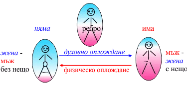 духовно и физическо оплождане