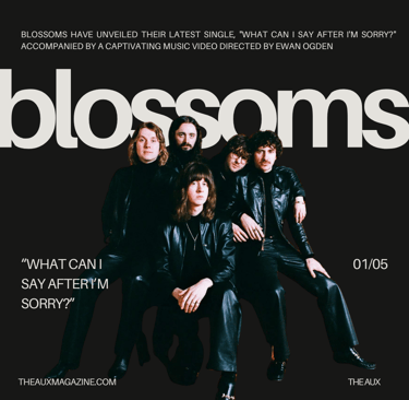 blossoms band indie new song
