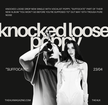 knocked loose poppy metal metalcore bands