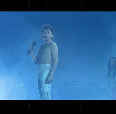 Greta Van Fleet during their concert