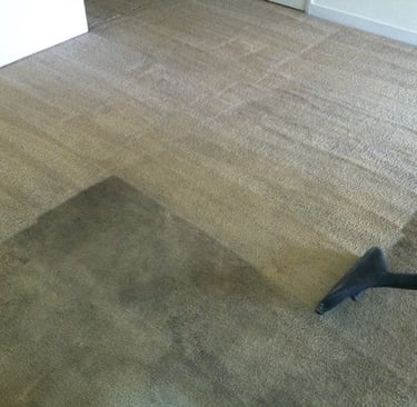 a vacuum cleaner cleaning a carpet with a vacuum