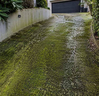 Dangerously Slippery Driveway