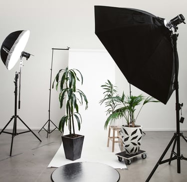 dettagli di piante in un appartamento per la fotografia professionale di affitti brevi