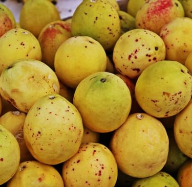 Jugo de Guayaba para la gripe Jugo antigripal de guayaba y miel