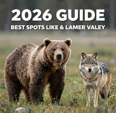 people on beach shore during daytime