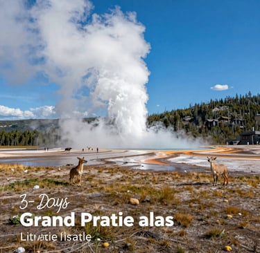 people on beach shore during daytime