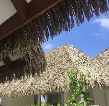 Palm thatched roof