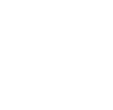 solid ground collective