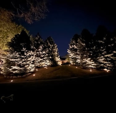 Professional landscape lighting illuminating evergreen trees and a front yard lawn at night.