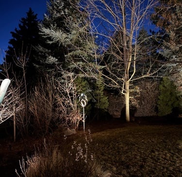 Nighttime landscape with illuminated trees and modern outdoor sculptures in a dark forest setting.