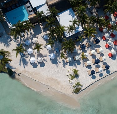 jaguar beach scene