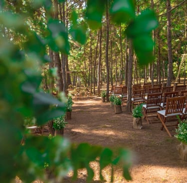 Ceremonia en el bosque. Instituto del Ambiente Jarabacoa