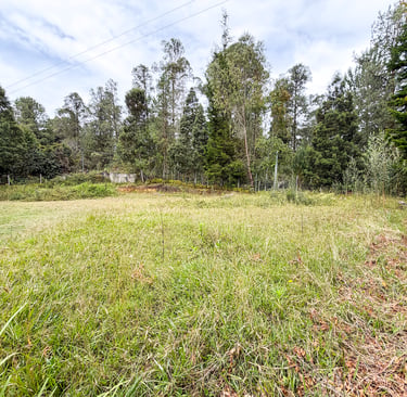 Lote en venta en Santa Elena, Medellín.