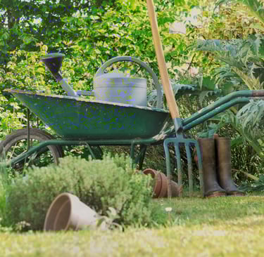 entretien-jardin-ballancourt-sur-essonne-91