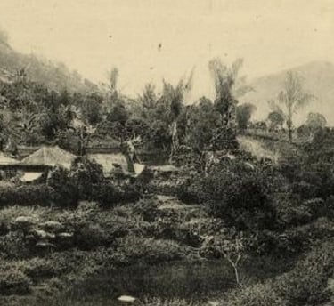 pertanian lembang tempo dulu