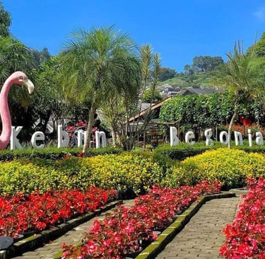 taman bunga begonia lembang