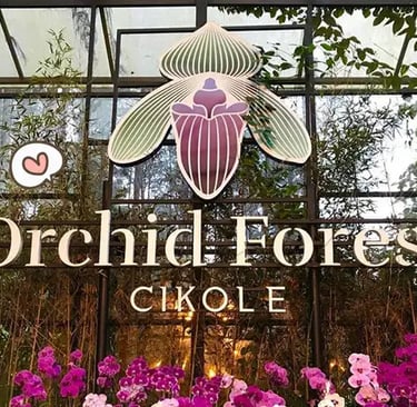 orchid forest cikole