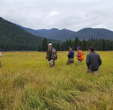 Interagency team monitoring wet meadow restoration