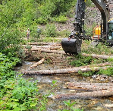 Installing Lare Wood in streams and floodplains.