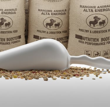 Sessola per mangimi animali. Design durevole progettato per la distribuzione del nutrimento in stalla.