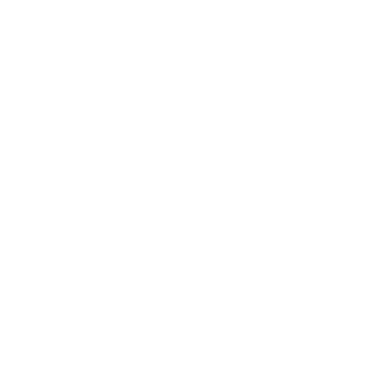 Jase Gibbons Anchor Logo