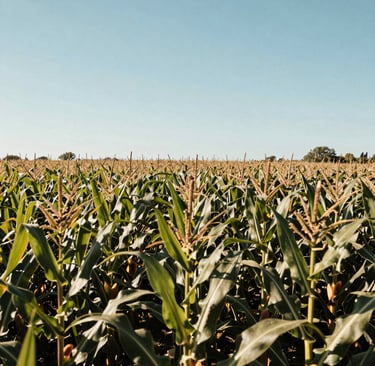 worm's-eye view photography of concrete building