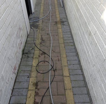 Before outdoor alleyway with brick pavers and a long garden hose stretching across the ground.