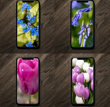 4 smartphone wallpapers. These are flowers 