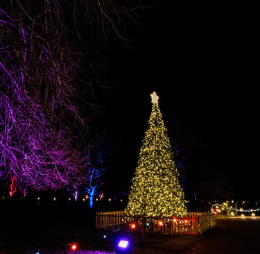 Luminate Christmas Tree