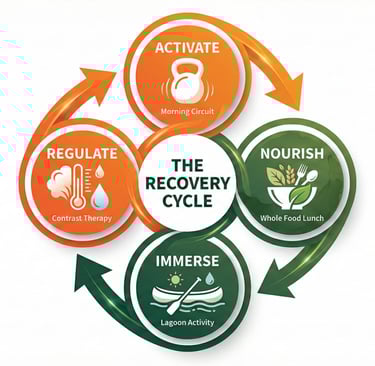 circular flow chart showing the recovery cycle for elevate fitness retreats