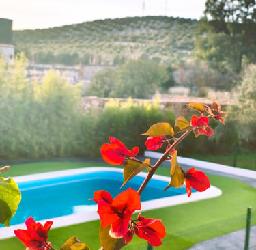 Casa rural con piscina y rodeada de naturaleza