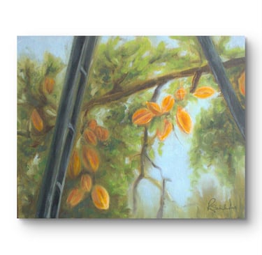 Carambola Dreams, 10x8"
