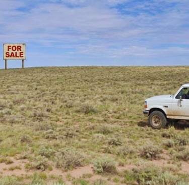 Apache, AZ Buena Vista Lands