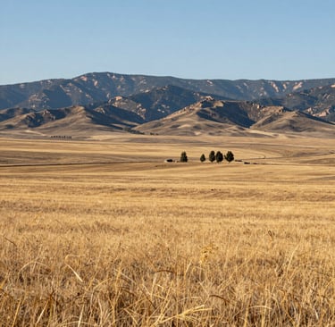 Wide-angle view of affordable vacant residential land for sale in Valencia & Luna Counties, NM