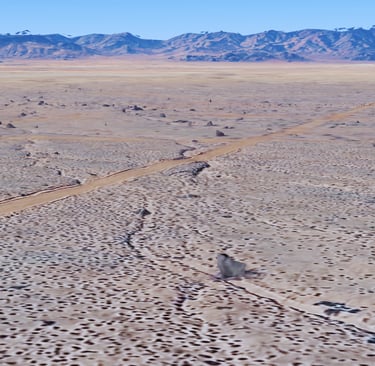 Mohave County AZ Buena Vista Lands Owner Financed Vacant Land