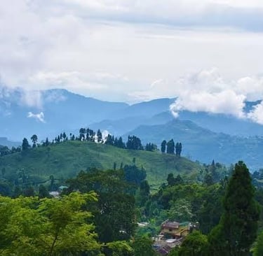 North Bengal and Sikkim tour package by Avmita Travels