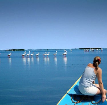 Odisha travel package beaches and heritage by Avmita Travels